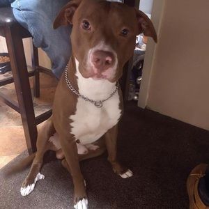 Meet your Posher, Tina